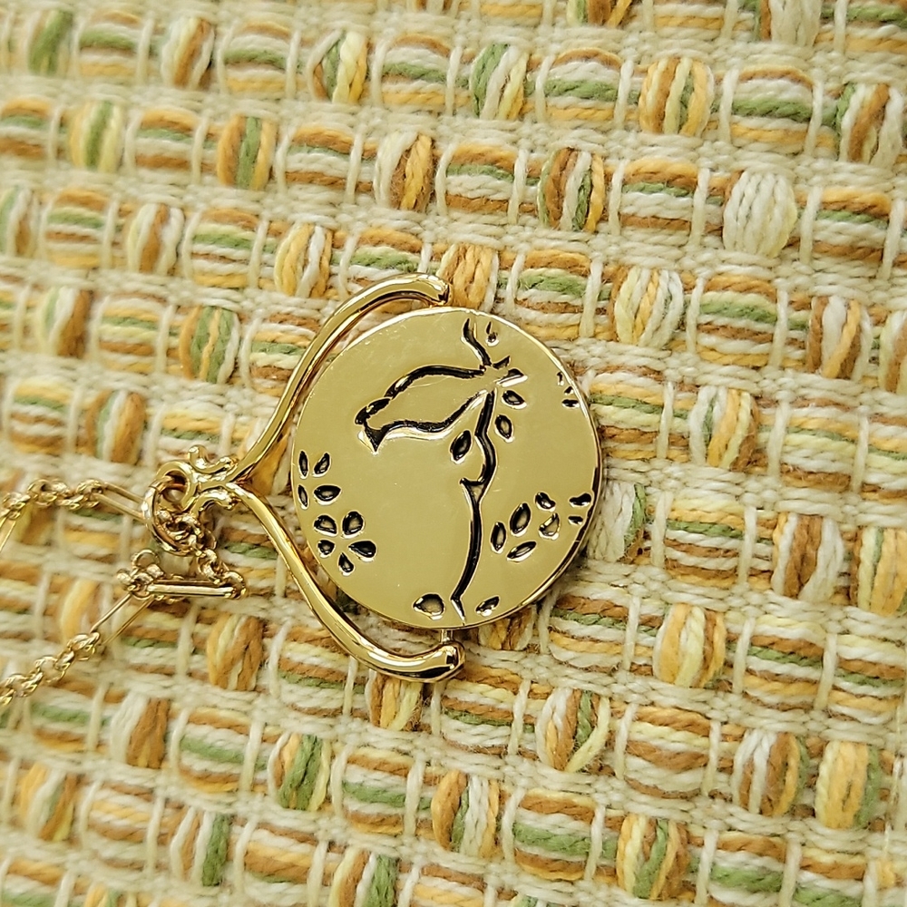 CHLOE & ISABEL necklace